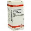 Magnesium Phosphoricum D 12 Tabletten