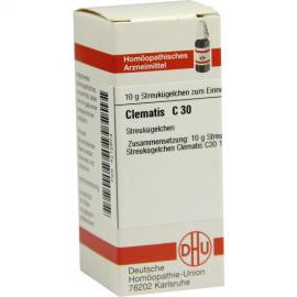 Clematis C 30 Globuli